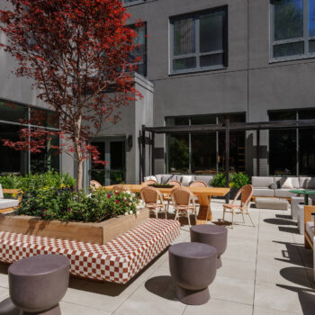 Sunlit residential courtyard featuring a central planter with a vibrant red maple tree, a bold checkerboard-patterned tile bench, outdoor dining tables, and comfortable wood-framed lounge seating.