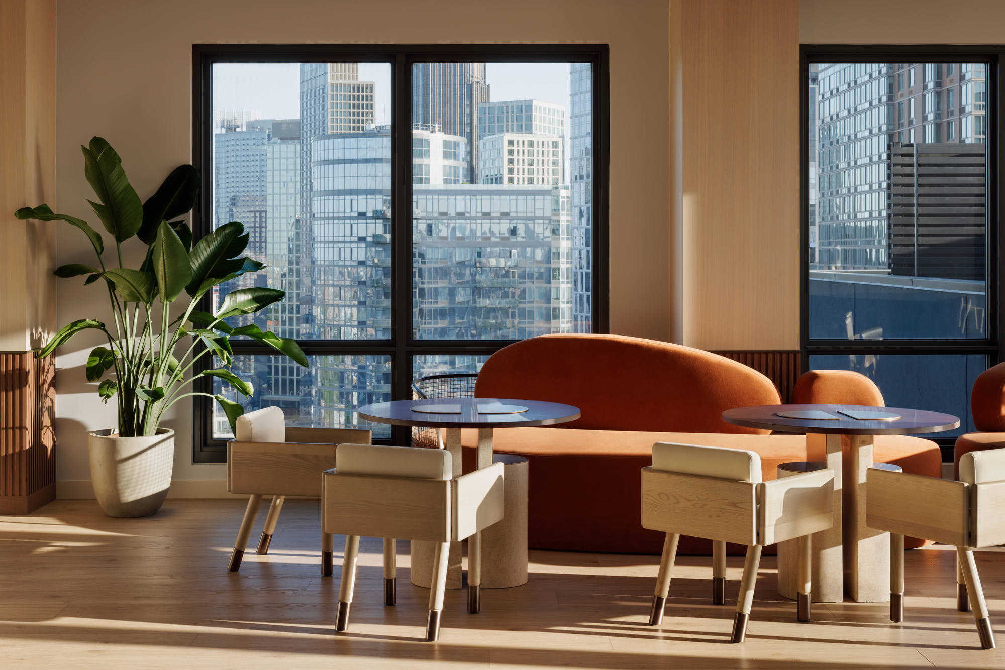 Sunset lounge with an orange velvet sofa, modern wooden dining chairs around small cafe tables, a tall potted bird of paradise plant, and a large window framing a dense cityscape view.